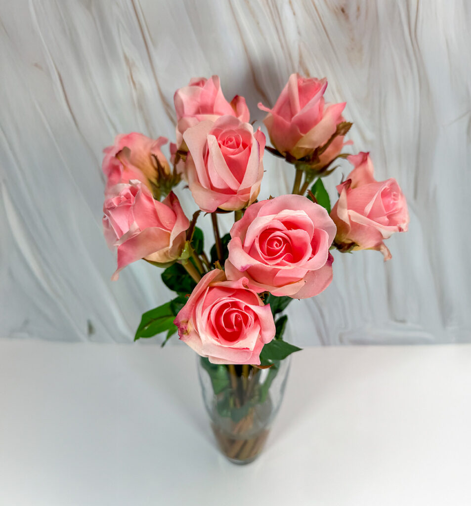 Glass Cylinder Vase w/ Light Pink Roses | Modern Nature Fl.