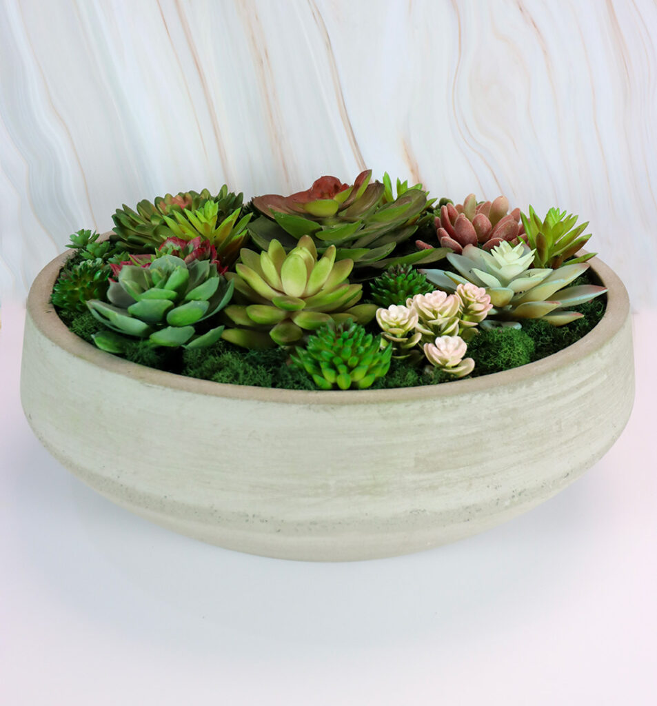 Gray Cement Planter w/Succulents | Modern Nature Fl.