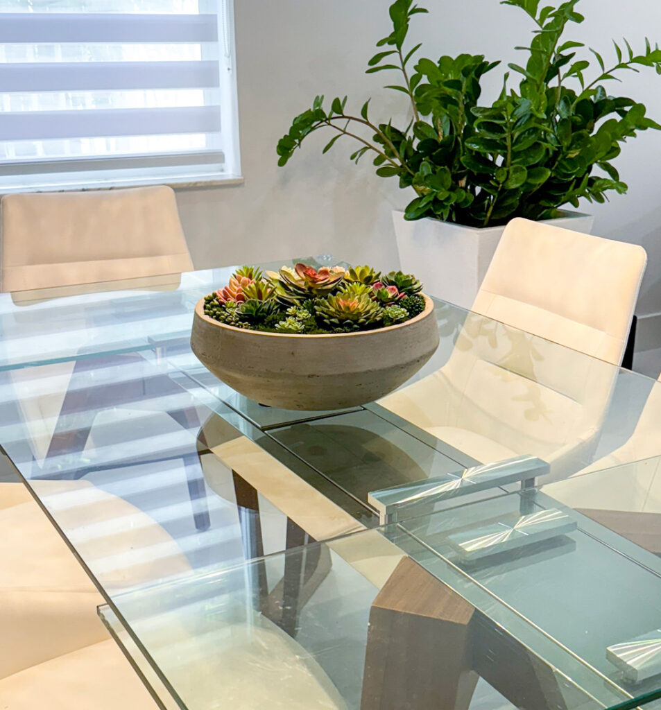 Gray Cement Planter w/Succulents | Modern Nature Fl.