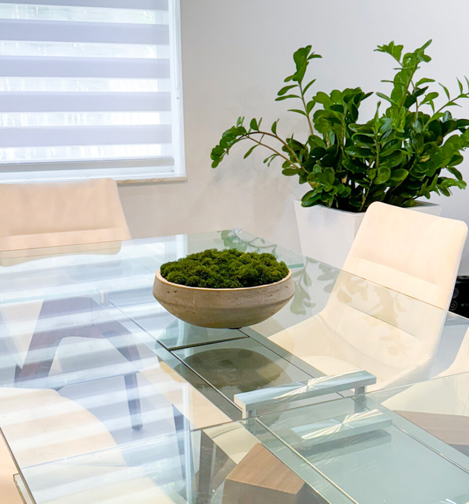 Grey Cement Planter w/Green Preserved Moss | Modern Nature Fl.
