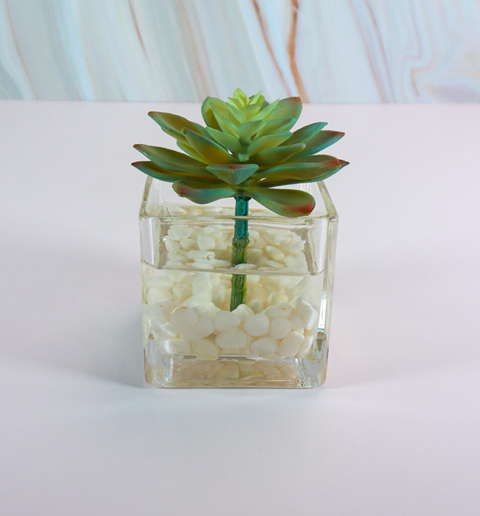 Small Square Glass Vase w/ Succulent and White Rocks | Modern Nature Fl.