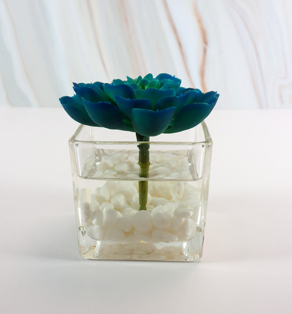 Small Square Glass Vase w/ Succulent and White Rocks | Modern Nature Fl.