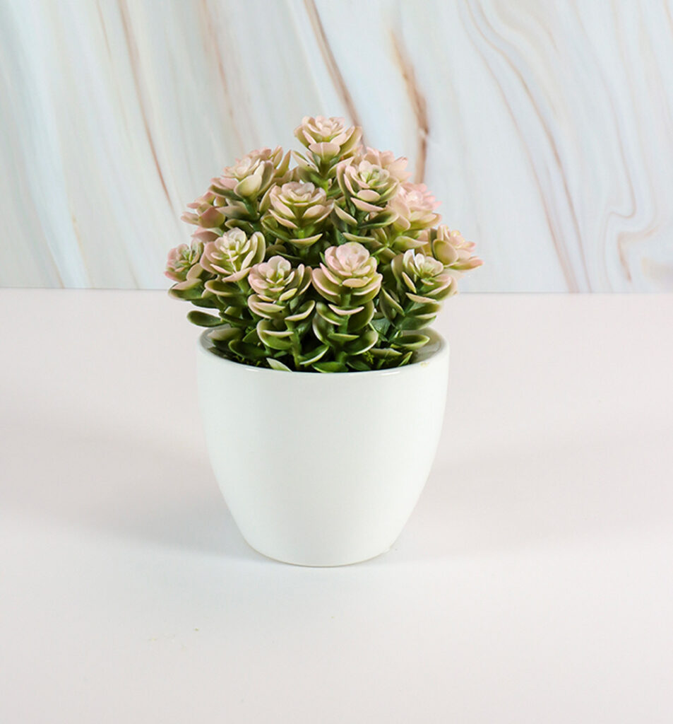 Small White Ceramic Vase w/ Pink Succulent Roses | Modern Nature Fl.