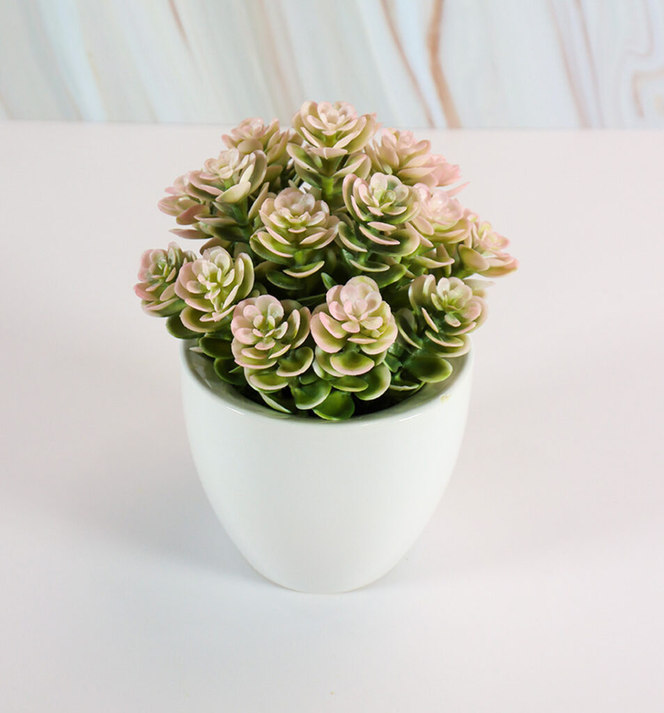 Small White Ceramic Vase w/ Pink Succulent Roses | Modern Nature Fl.