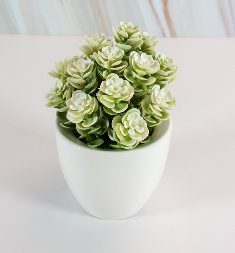 Small White Ceramic Vase w/ White Succulent Roses | Modern Nature Fl.