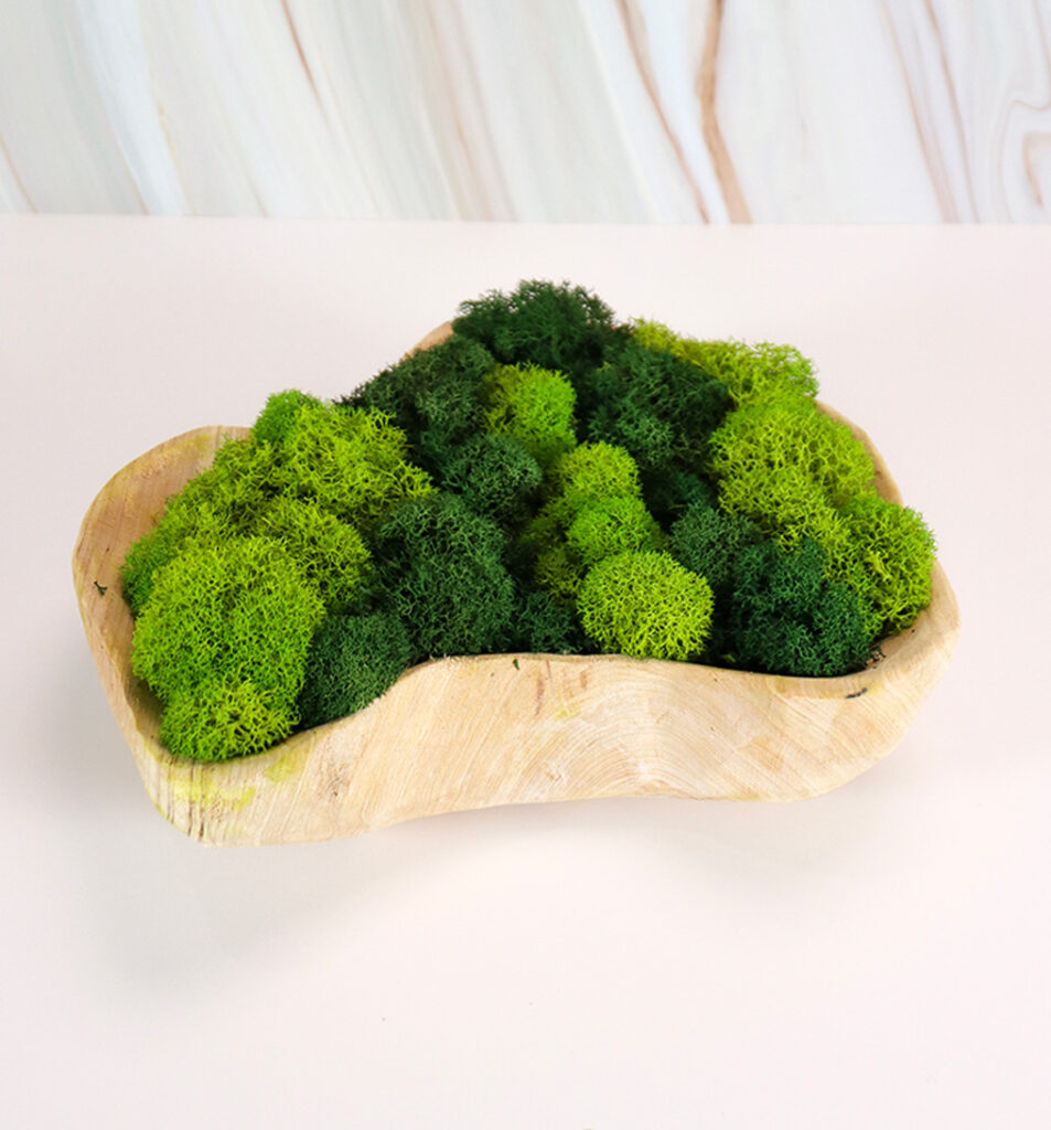 Small Wood Planter w/ Mix Preserved Moss | Modern Nature Fl.
