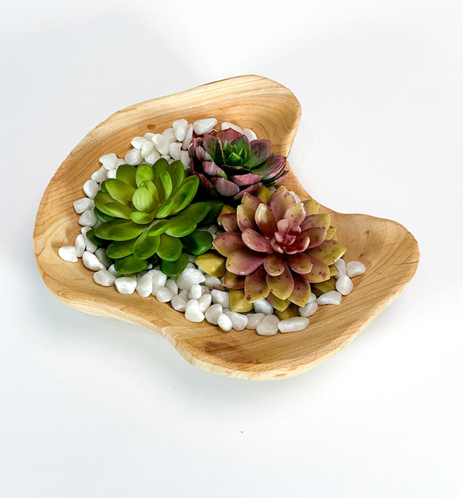 Small Wood Planter w/ Succulents and White Rock | Modern Nature Fl.