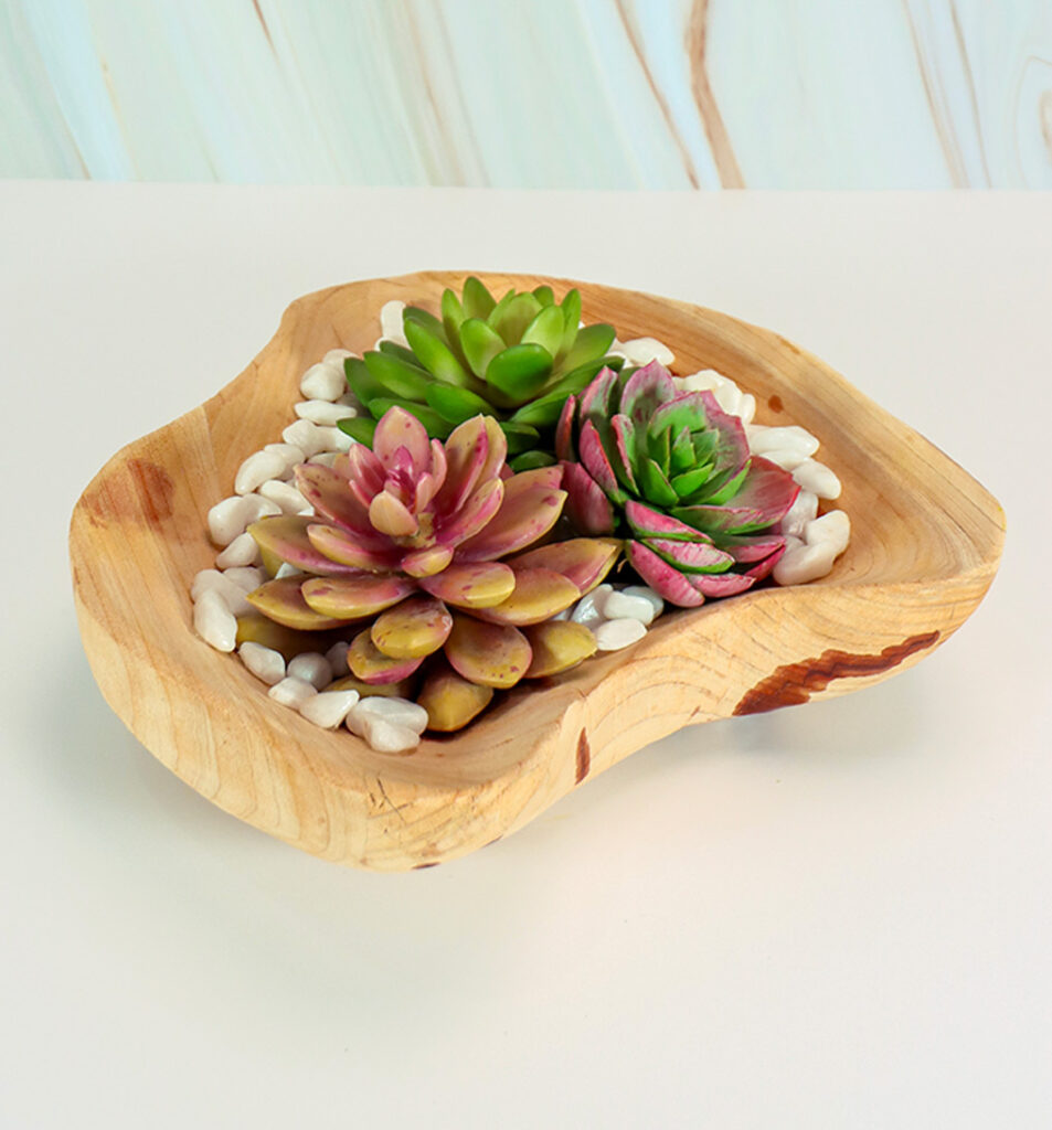 Small Wood Planter w/ Succulents and White Rock | Modern Nature Fl.