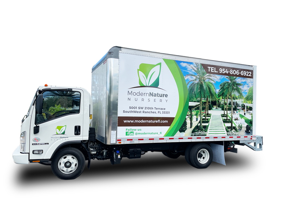 Modern Nature Fl. | Nursery