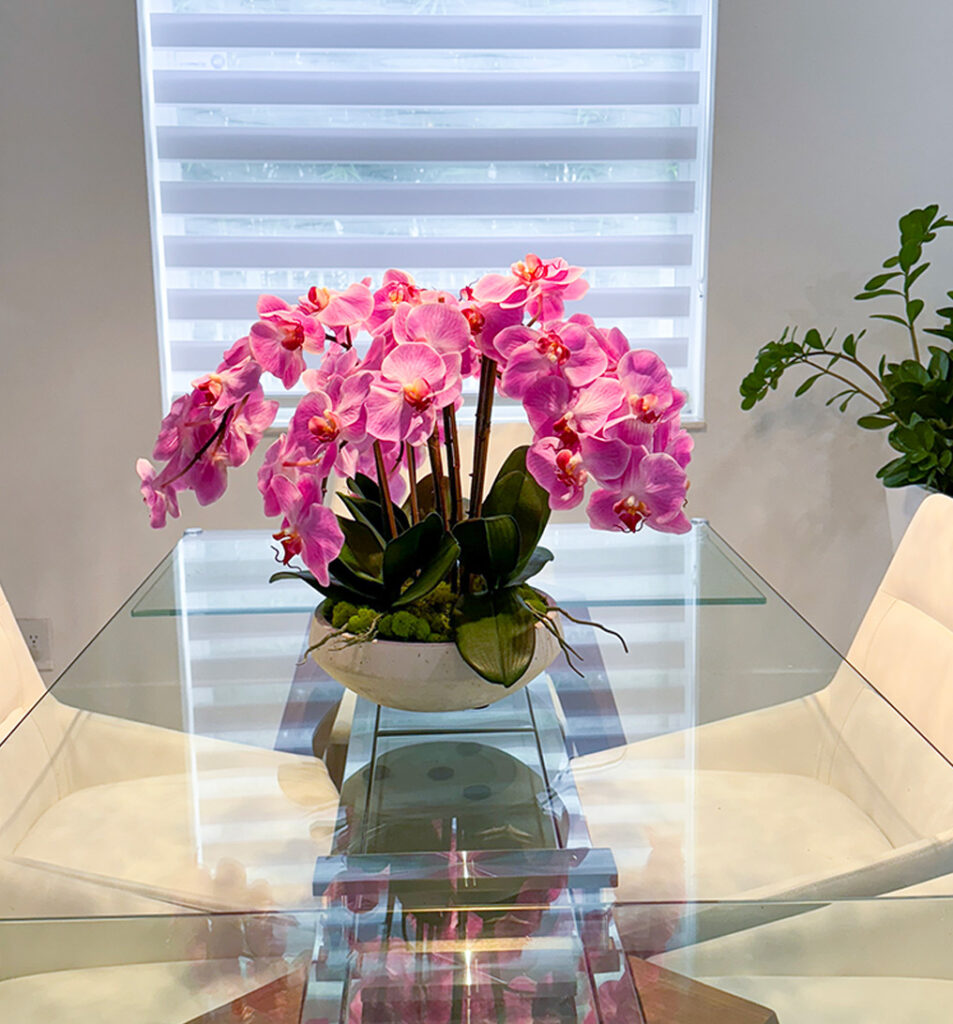 White Cement Planter w/ Preserved Moss and Pick Orchids | Modern Nature Fl.