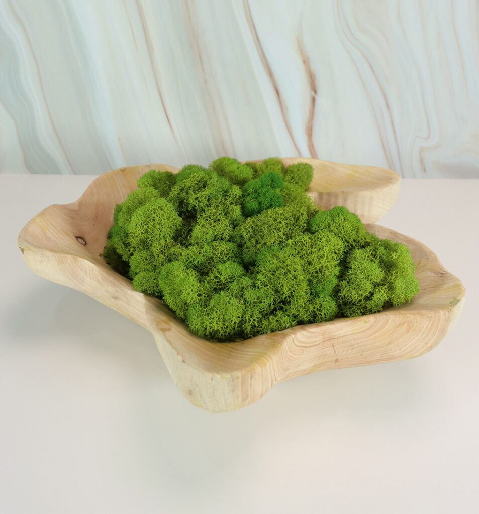 Wood Planter w/ Light Green Preserved Moss | Modern Nature Fl.