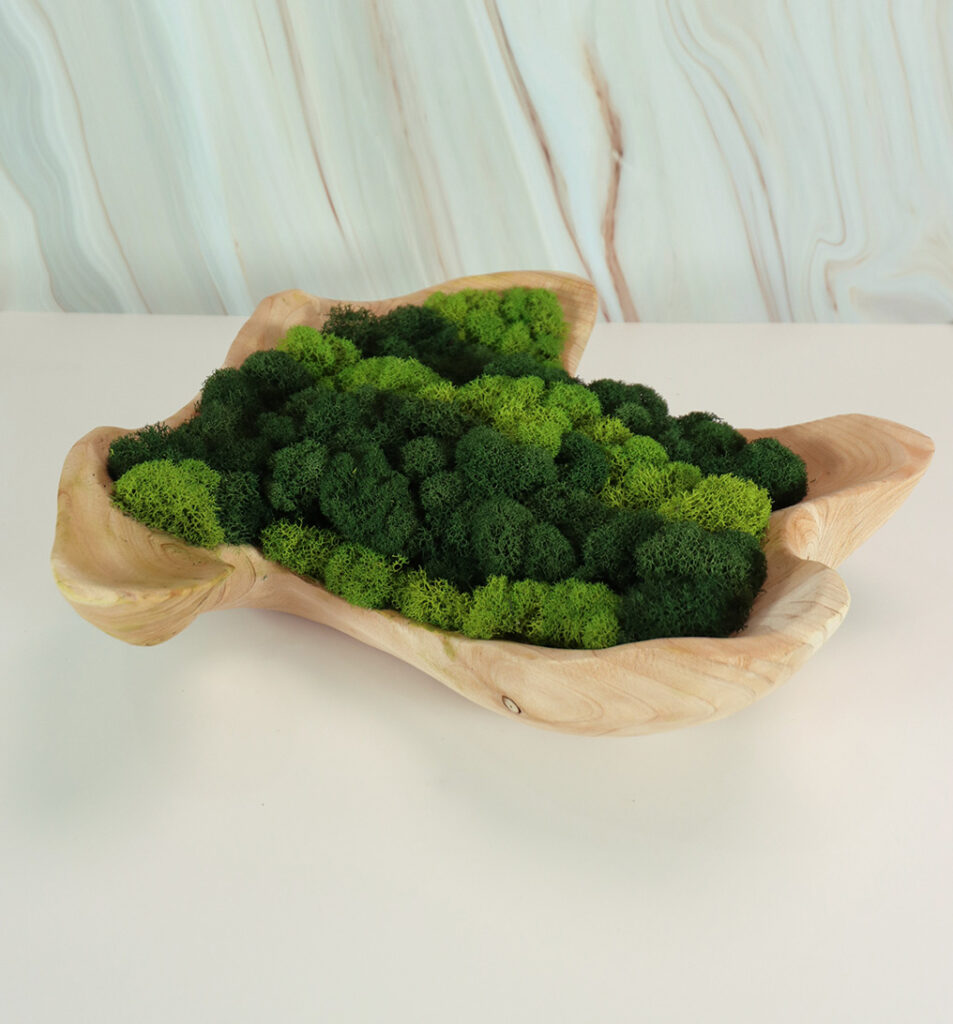 Wood Planter w/ Mix Preserved Moss | Modern Nature Fl.